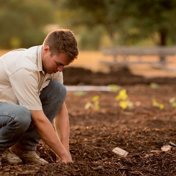 gardening-13